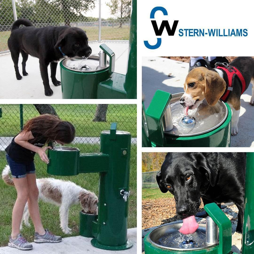 Stern-Williams 9000 Single Pet Fountain – Durable, Vandal-Resistant & Frost Proof Options - The Fountain Direct