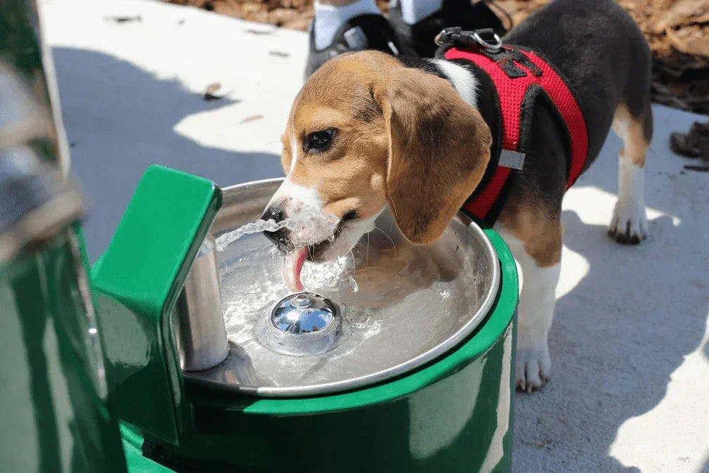 Stern Williams 5325-90-GR Exterior Pedestal Drinking Fountain with Pet Station - The Fountain Direct
