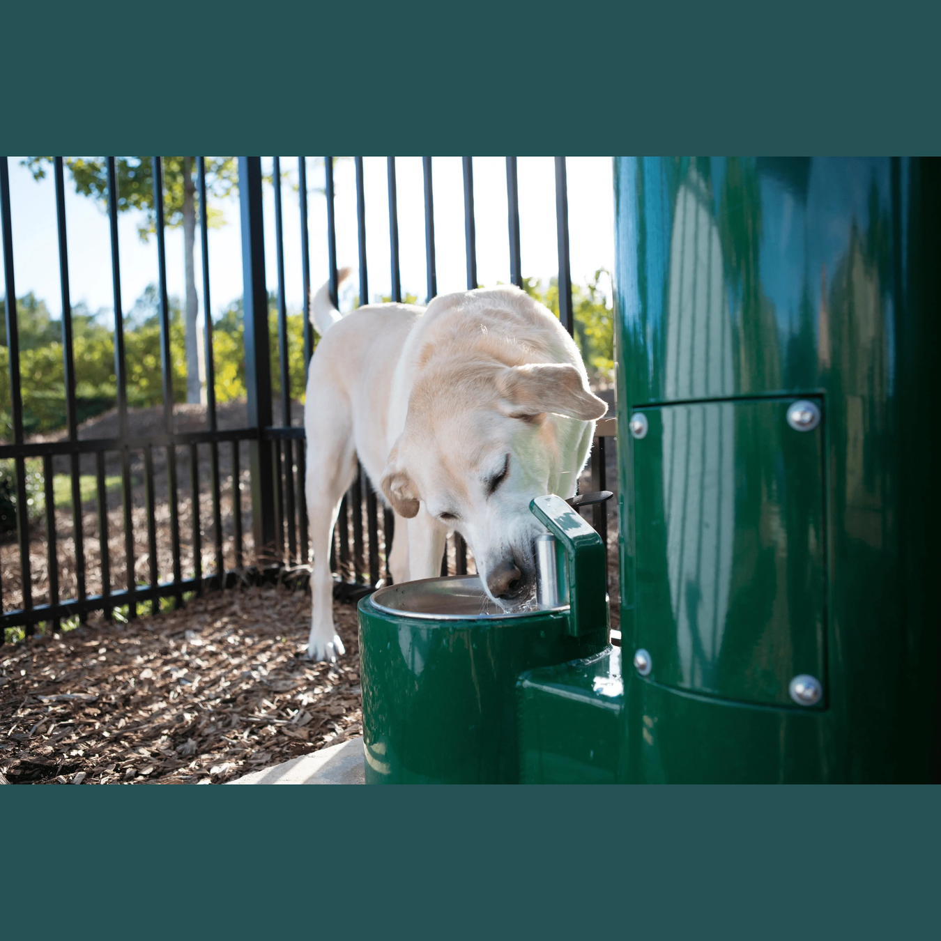 Willoughby WODF-1-PET Outdoor Stainless Steel Pet Drinking Fountain with Hose Bibb and Hanger - The Fountain Direct