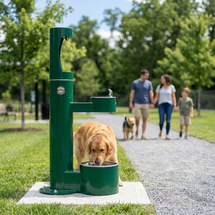 Best dual-purpose pet and human drinking fountain
