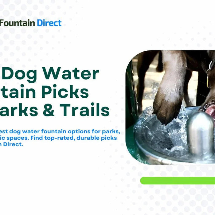 6 Best Dog Water Fountain Picks for Parks & Trails [2025] - The Fountain Direct