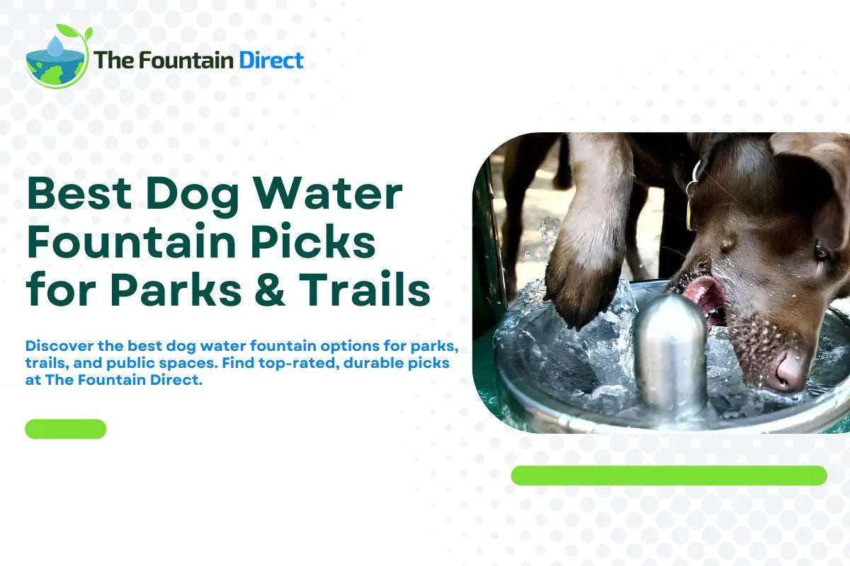 6 Best Dog Water Fountain Picks for Parks & Trails [2025] - The Fountain Direct