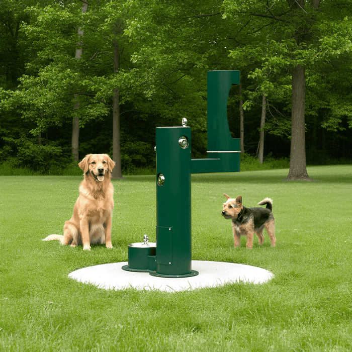 When to Use Pet Fountain for Your Facility - The Fountain Direct