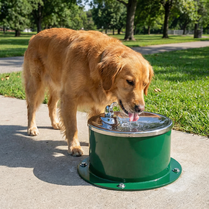 Best Outdoor Dog Water Fountains for Parks - The Fountain Direct
