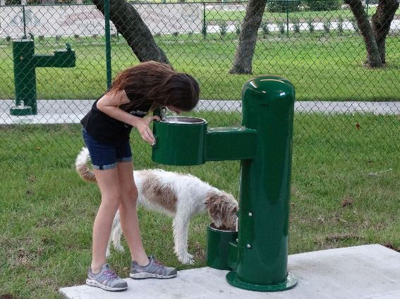 Pet Friendly