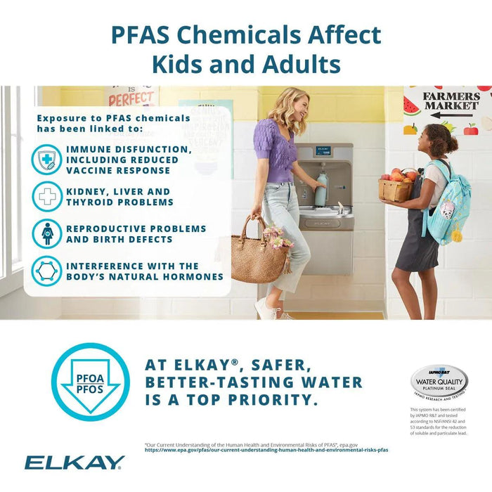 Elkay WaterSentry® PFOA/PFOS (PFAS) + Lead + Microplastics NSF/ANSI Certified 2250 Gal 12 Month Filter - The Fountain Direct