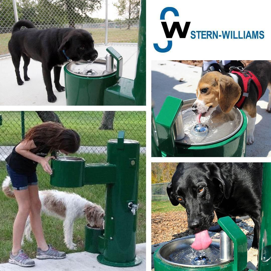 Stern-Williams 9000 Single Pet Fountain – Durable, Vandal-Resistant & Frost Proof Options - The Fountain Direct