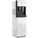 Avalon A6 Self Cleaning Bottom Loading Water Cooler – Hot & Cold - The Fountain Direct