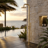 NW Showers Lamez Gold 316L Marine Grade Stainless Steel Outdoor Pool Shower with Hand Shower - The Fountain Direct