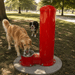 Willoughby WODF-1-PET Outdoor Stainless Steel Pet Drinking Fountain with Hose Bibb and Hanger - The Fountain Direct