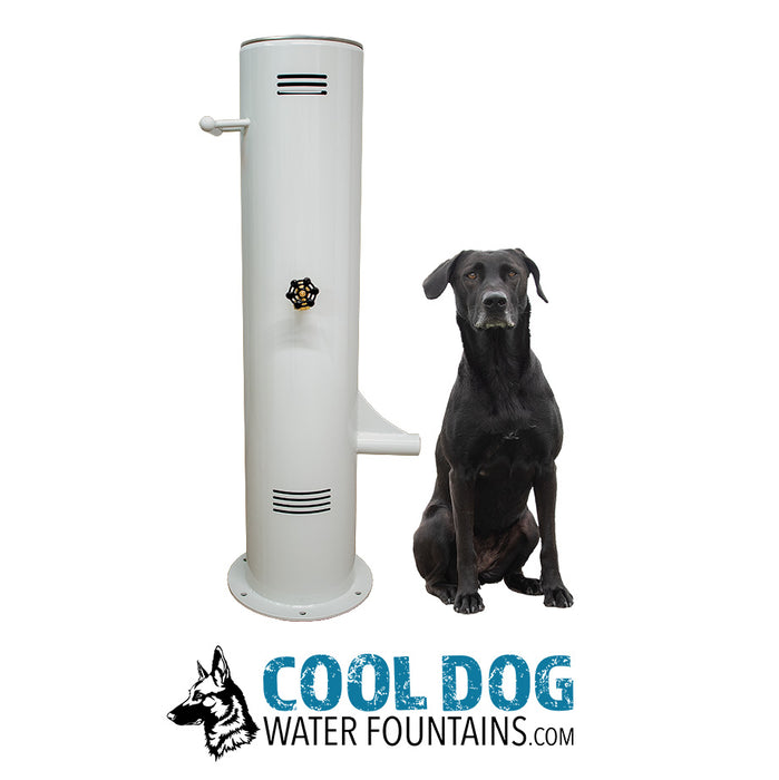 Cool Dog DL-1000-DD-DWC-PB-SLV push button pet fountain with hose bib