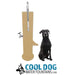 Cool Dog DL-1000-DD-DWC-SLV fountain custom color option