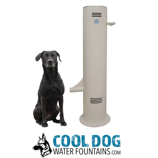 Cool Dog push button fountain custom color option