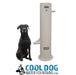 Cool Dog push button fountain custom color option