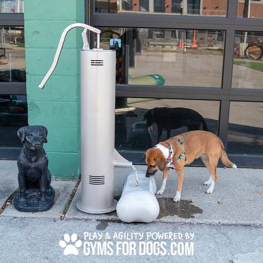 Cool Dog Fresh Flow fountain tower in Cool Dog Silver