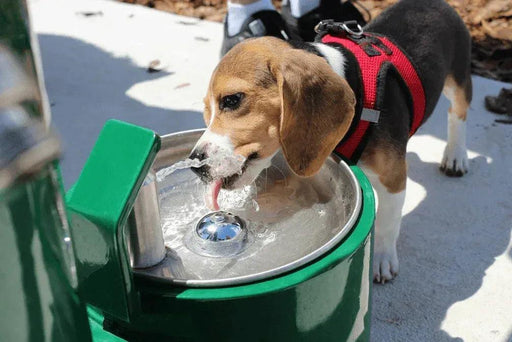 Stern Williams 5325-90-GR Exterior Pedestal Drinking Fountain with Pet Station - The Fountain Direct