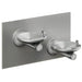 Elkay EDFPBMV117C Stainless Steel Bi-Level Vandal-Resistant Drinking Fountain - The Fountain Direct