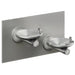 Elkay EDFPBVM117FPK SwirlFlo® Freeze-Resistant Dual Drinking Fountain - The Fountain Direct