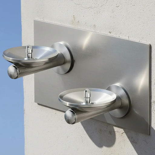 Elkay EDFPBVM117FPK SwirlFlo® Freeze-Resistant Dual Drinking Fountain - The Fountain Direct 