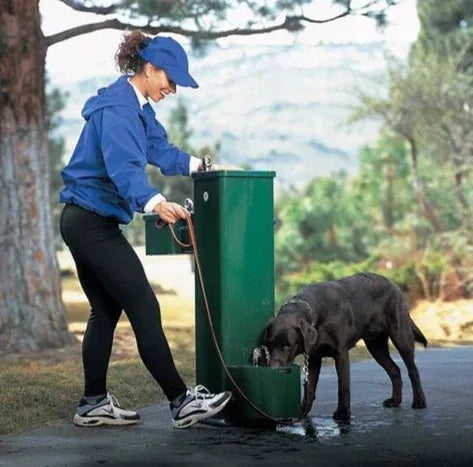 Haws_StreetSmart_Pet_Fountain___Pedestal___Drinking_Fountains_e6fc46a4-0053-4c58-8394-3e8e5bdfce34 - The Fountain Direct 