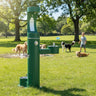 Elkay LK4420BF1UDBEVG ezH2O® Bi-Level Pedestal Bottle Filling Station with Pet Fountain - The Fountain Direct