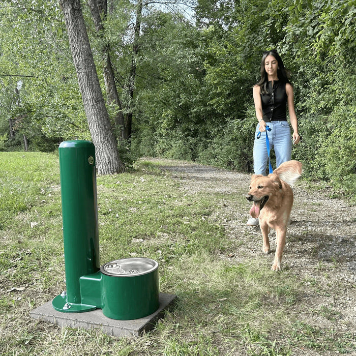 Stern-Williams 9000 Single Pet Fountain – Durable, Vandal-Resistant & Frost Proof Options - The Fountain Direct