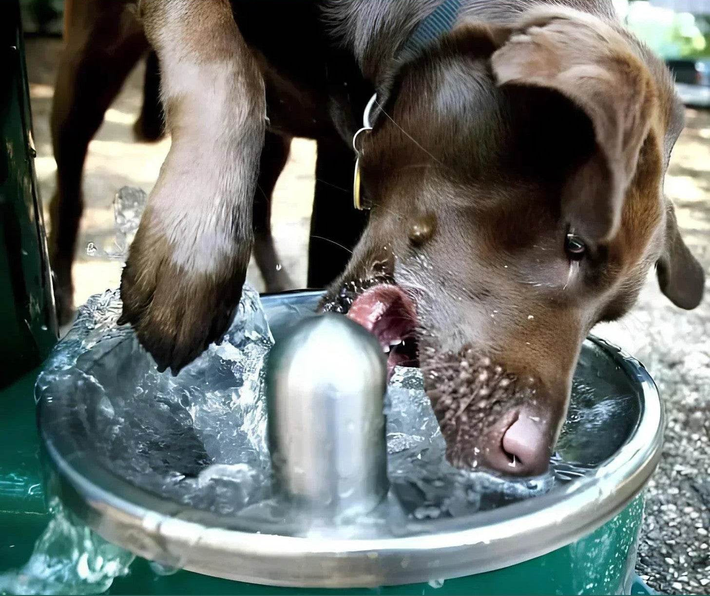 Stern Williams 5325-90-GR Exterior Pedestal Drinking Fountain with Pet Station - The Fountain Direct 