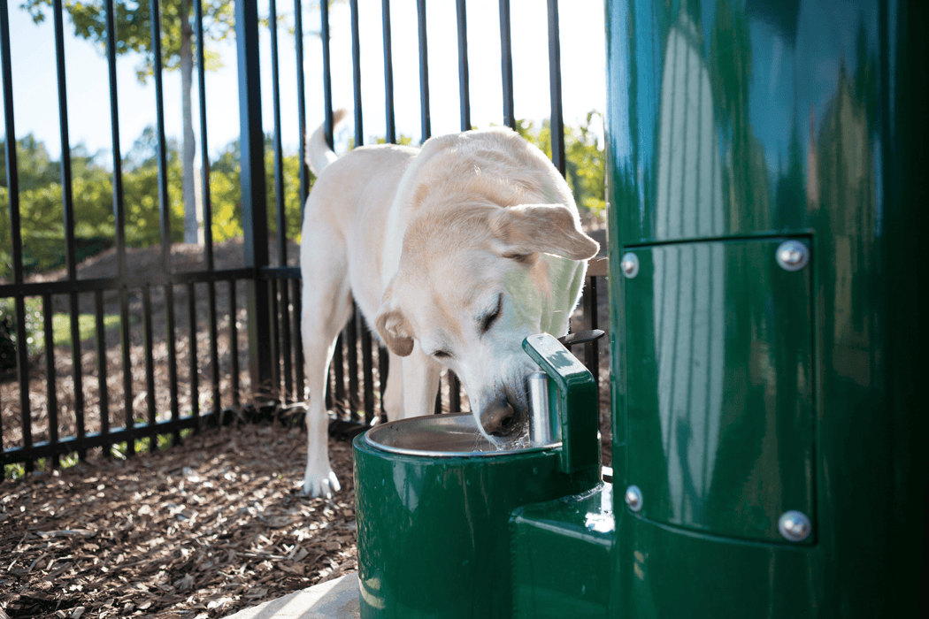 Willoughby WODF-1-PET Outdoor Stainless Steel Pet Drinking Fountain with Hose Bibb and Hanger