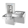 Oasis PGV8EBFSL bi-level vandal resistant station