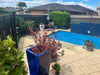 NW Showers Reno Black ADA 316L Marine Grade Stainless Steel Outdoor Pool Shower Rinse Of Shower - The Fountain Direct