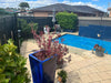 Reno Black ADA 316L Marine Grade Stainless Steel Outdoor Pool Shower Rinse Of Shower - The Fountain Direct 